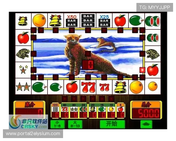 金鲨银鲨老虎机游戏规则详解，帮助新手快速上手赢取更多奖励