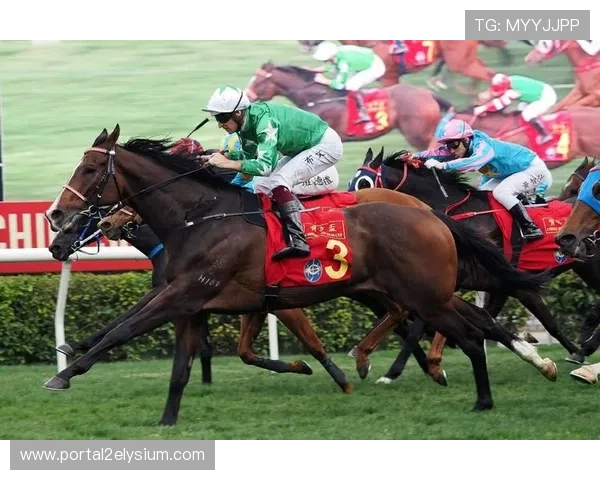 赛马会手机版下载最新版本，轻松体验丰富赛事内容与精彩互动玩法