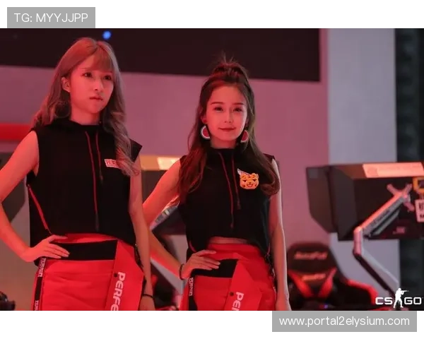 kok真人真人娱乐特色介绍带你领略最真实的游戏体验